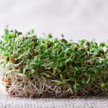 fresh green sprouts