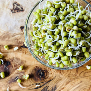 sprouted mung beans in clear bowl