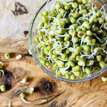 sprouted mung beans in clear bowl