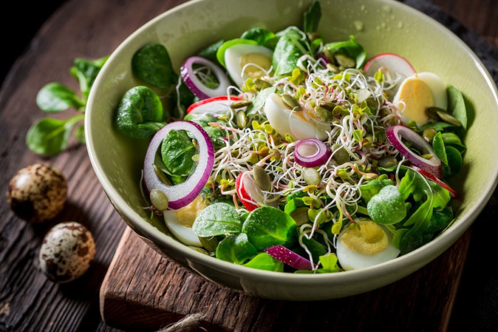 sprouts in green salad in bowl